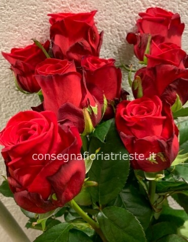 Rose rosse prima scelta gambo lungo da comporre in mazzo per numero di steli.