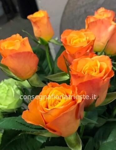 Rose colore arancio da comporre in mazzo per numero di steli.