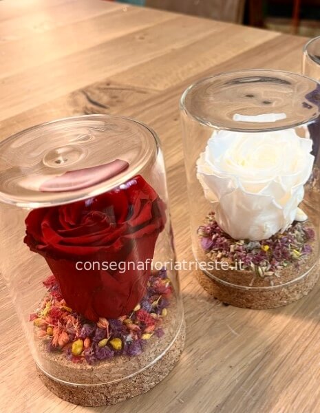 campana di vetro con rosa stabilizzata