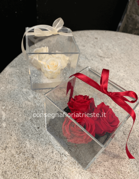 Box trasparente con 3 rose stabilizzate