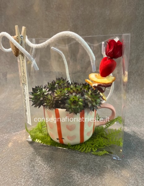 tazza cuori con piante grasse in borsetta trasparente e rosa stabilizzata